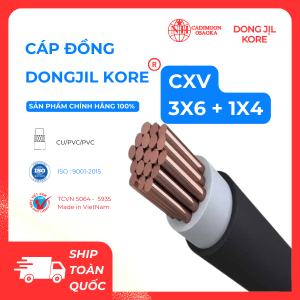 CÁP ĐỒNG DONG JIL KORE - CXV 3x6+1x4 CU/XLPE/PVC