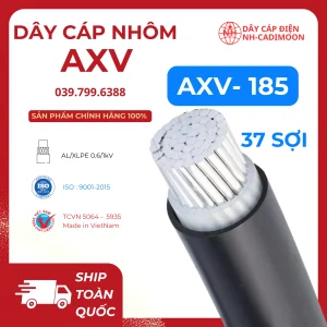 Dây Cáp Nhôm AXV 1x185