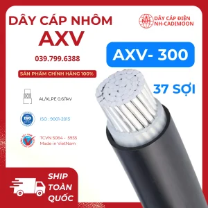 Dây Cáp Nhôm AXV 1x300