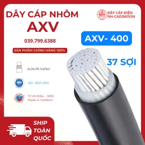 Dây Cáp Nhôm AXV 1x400