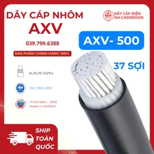 Dây Cáp Nhôm AXV 1x500