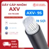 Dây Cáp Nhôm AXV 1x95