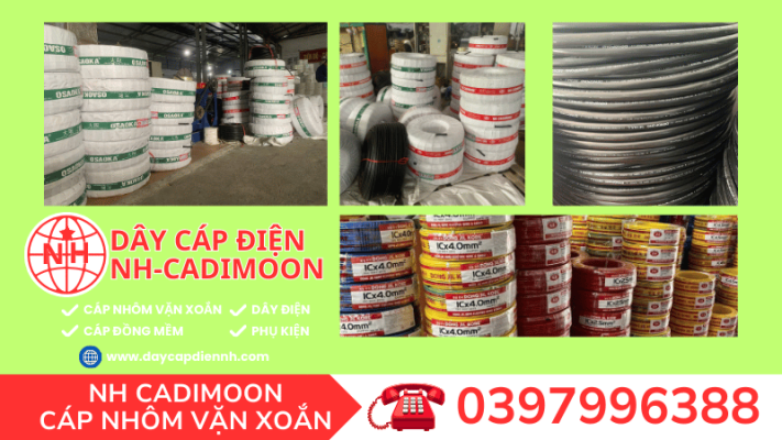 CÁC SẢN PHẨM CÁP ĐIỆN DÂY ĐIỆN 