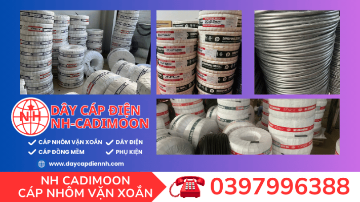 ĐỊA CHỈ MUA CÁP NHÔM 2 LÕI TẠI HUYỆN THANH TRÌ 2