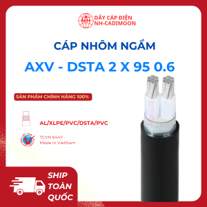 Cáp Nhôm Ngầm Al_xlpe_pvc_dsta_pvc 2x95
