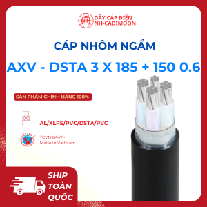 Cáp Nhôm Ngầm Al_xlpe_pvc_dsta_pvc 3x185 + 1x150