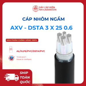 Cáp Nhôm Ngầm Al_xlpe_pvc_dsta_pvc 3x25