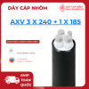 Dây Cáp Nhôm AXV 3 x 240 + 1 x 185
