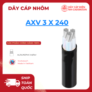 Dây Cáp Nhôm AXV 3x240