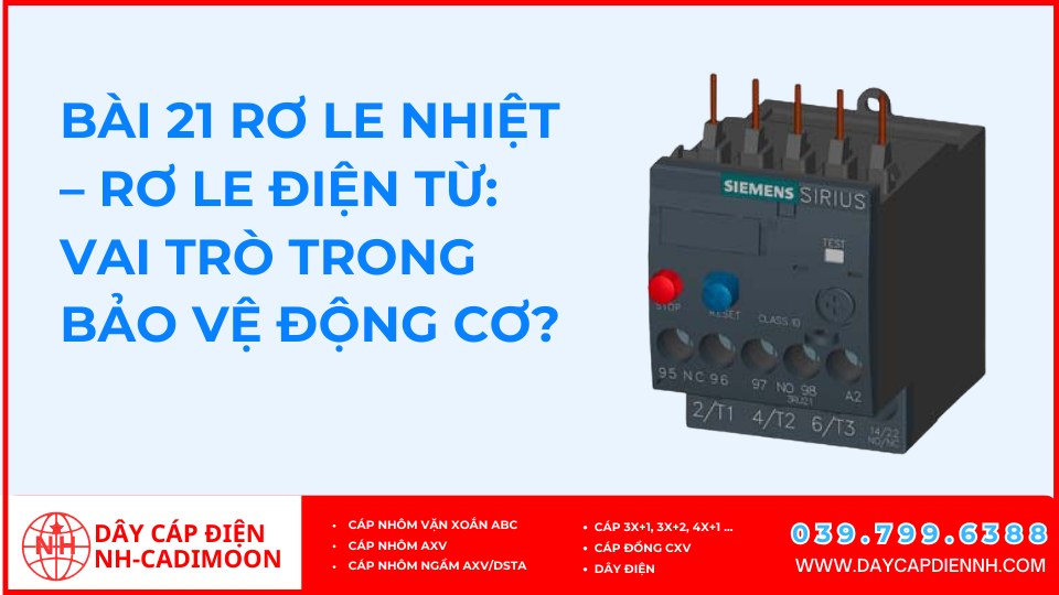 Rơ Le Nhiệt – Rơ Le Điện Từ: Vai Trò Trong Bảo Vệ Động Cơ?